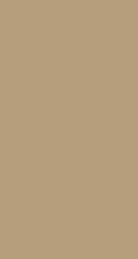 Dark Beige RB-1106