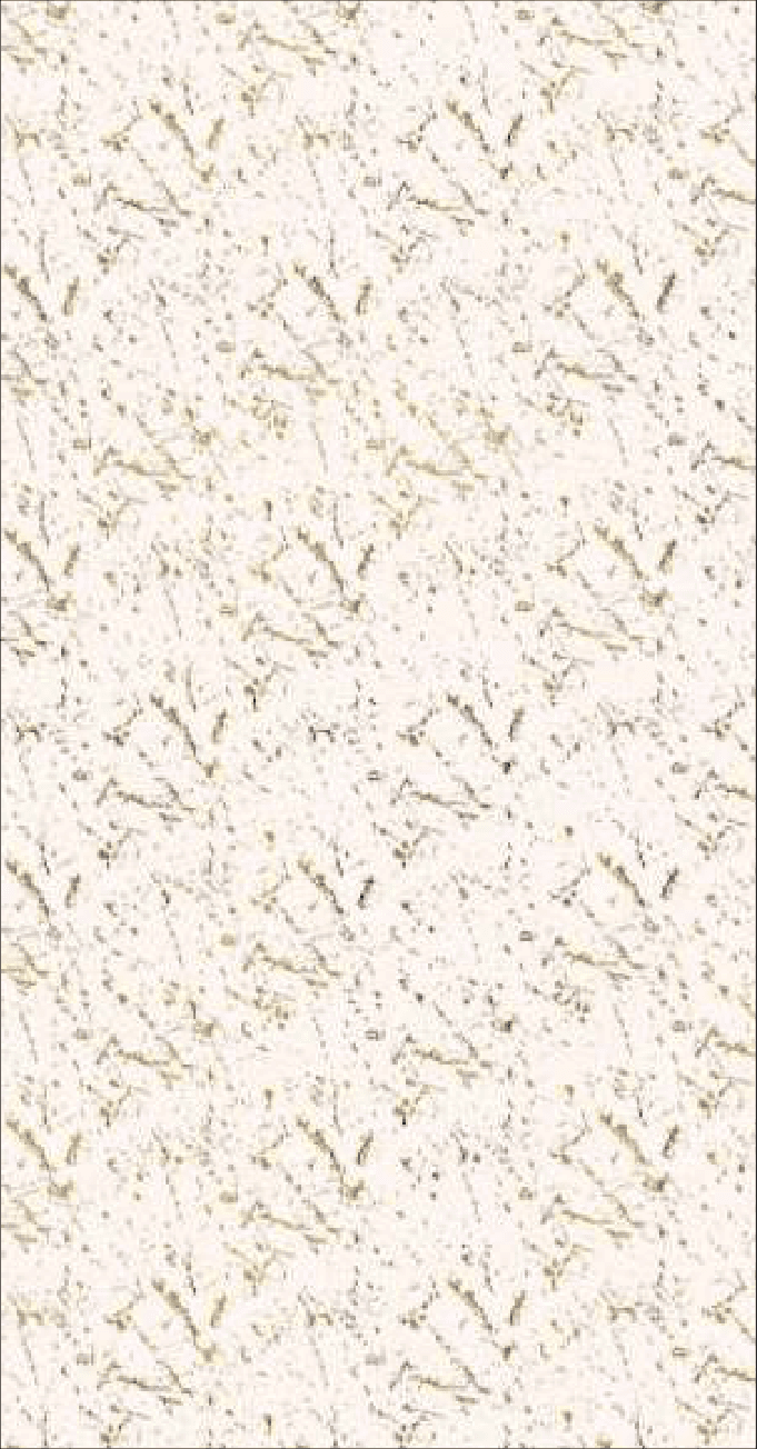 Reclaimed White RB-1306