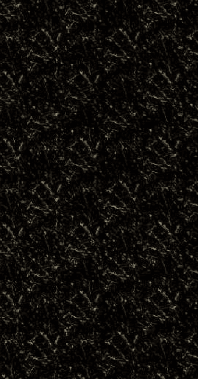 Reclaimed Black RB-1307