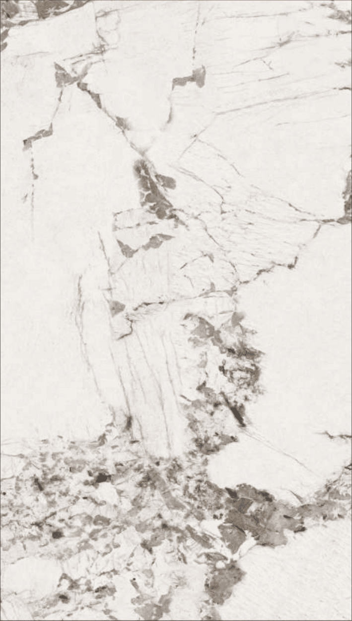 Carrara Mist RL-1003